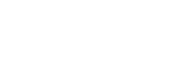 The Walker by Strohm